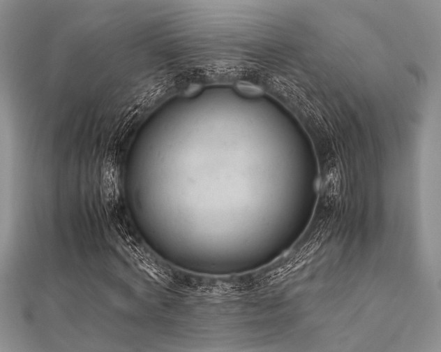 X0000112110772200908041540