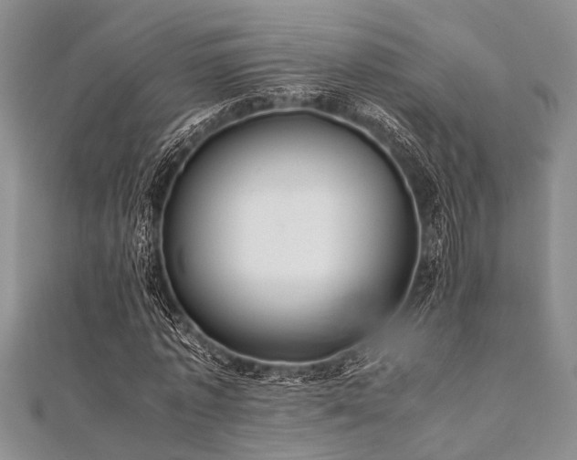 X0000112110773200908041540