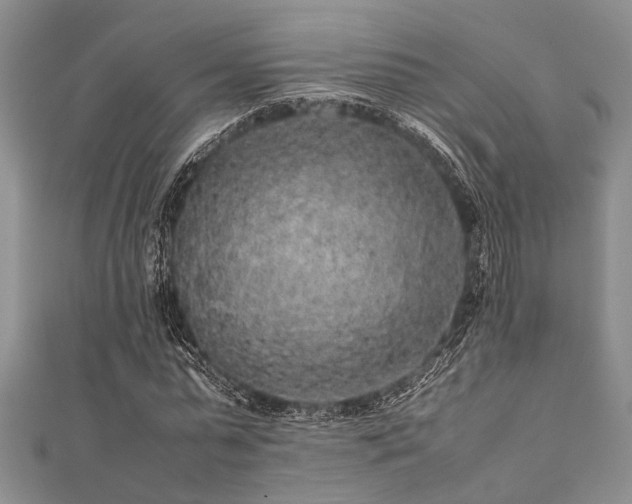 X0000112110775200908041540