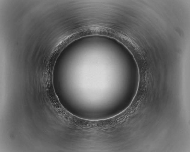 X0000112110776200908041540