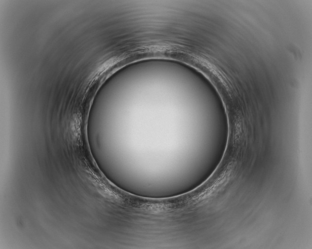 X0000112110778200908041540