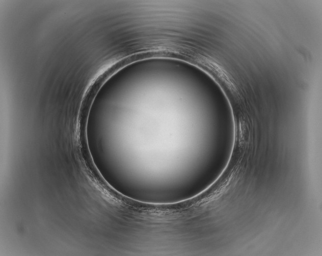 X0000112110780200908041540