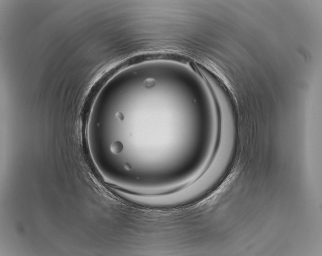 X0000112110781200908041540