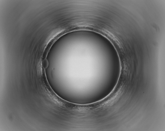 X0000112110782200908041540