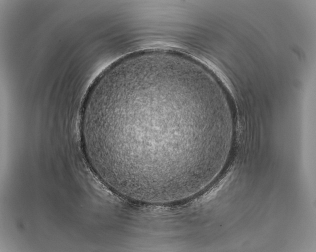 X0000112110783200908041540