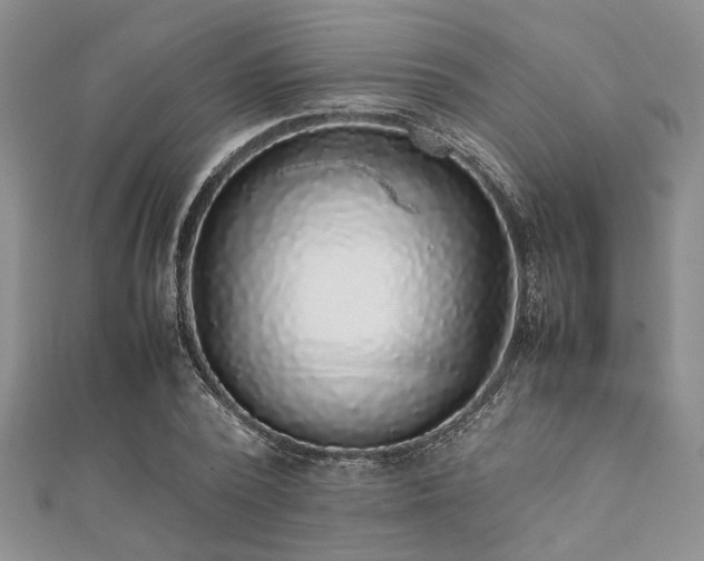 X0000112110784200908041540