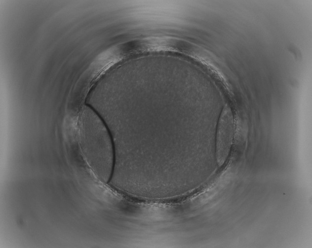 X0000112110785200908041540