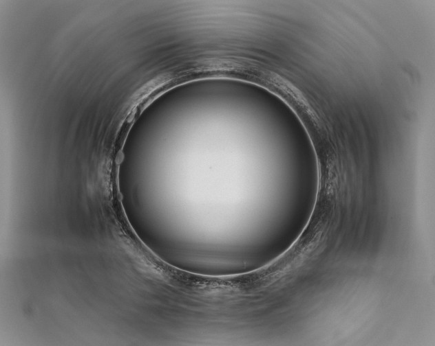 X0000112110786200908041540