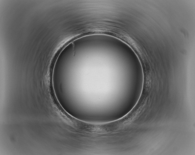 X0000112110787200908041540