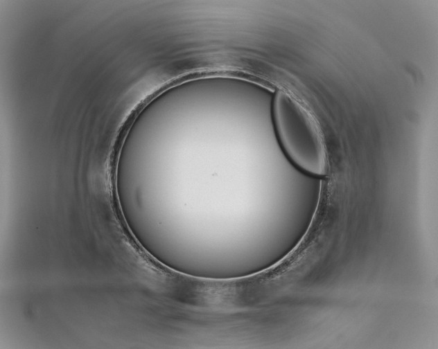 X0000112110789200908041540