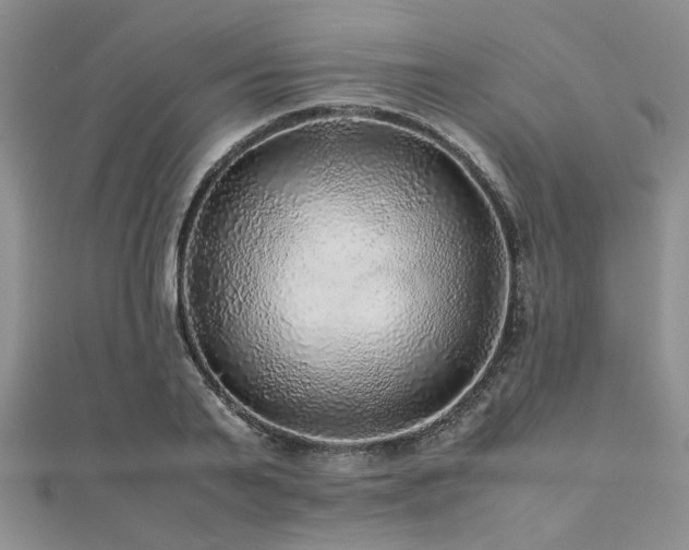 X0000112110791200908041540