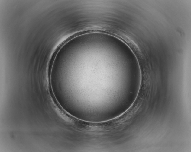 X0000112110792200908041540