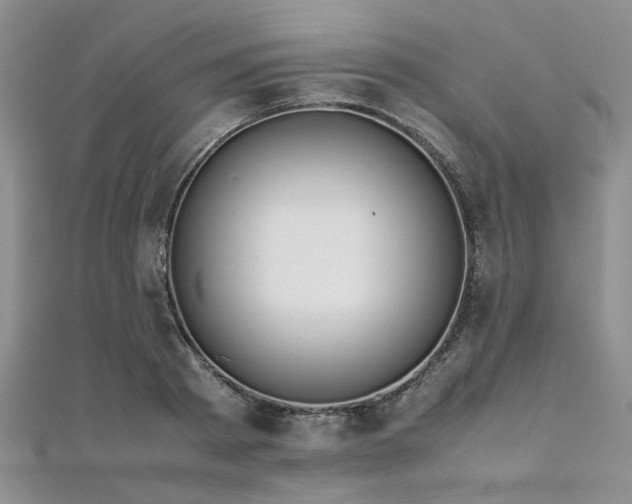 X0000112110793200908041540