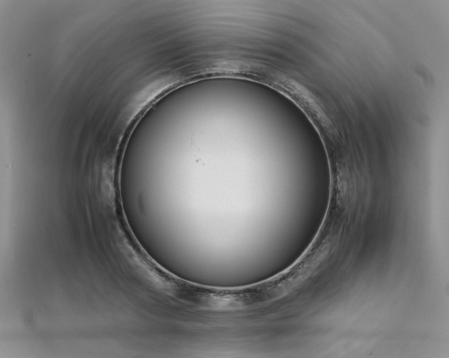 X0000112110794200908041540