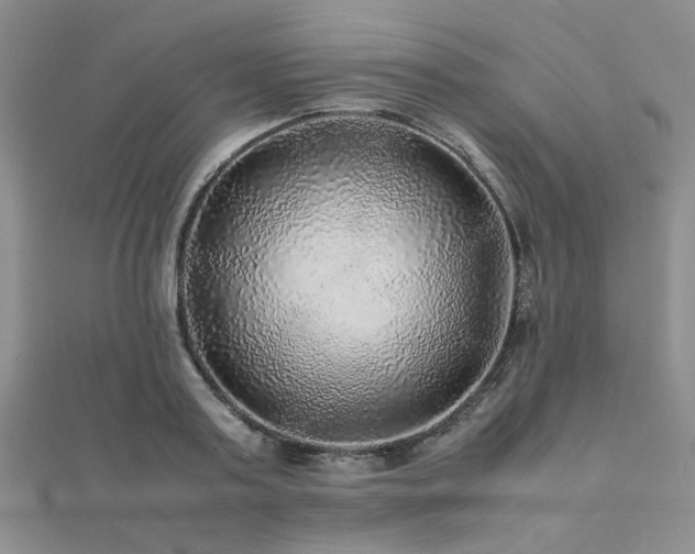 X0000112110795200908041540