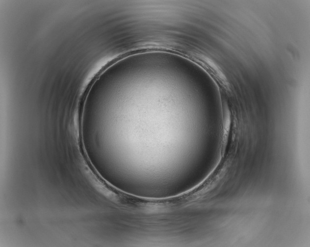 X0000112110796200908041540