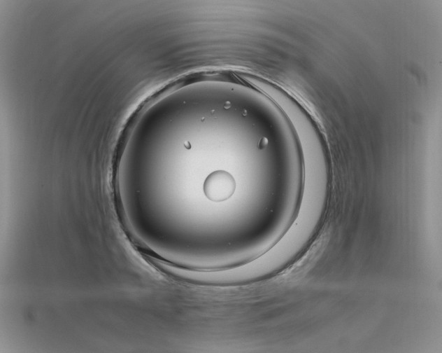 X0000112110797200908041540