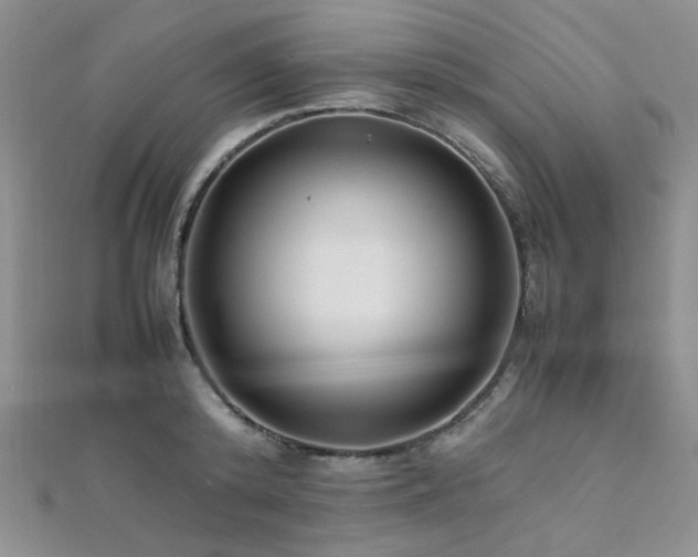 X0000112110800200908041540