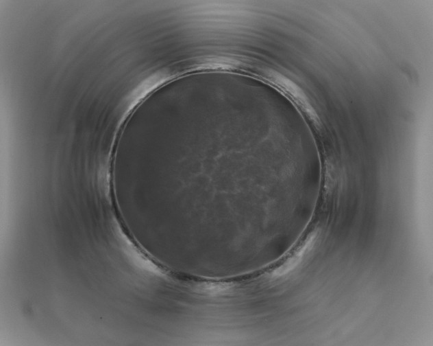 X0000112110802200908041540