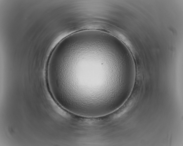 X0000112110803200908041540