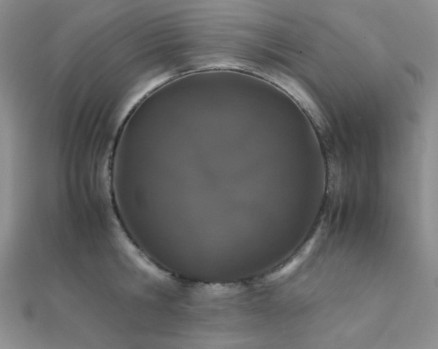 X0000112110806200908041540