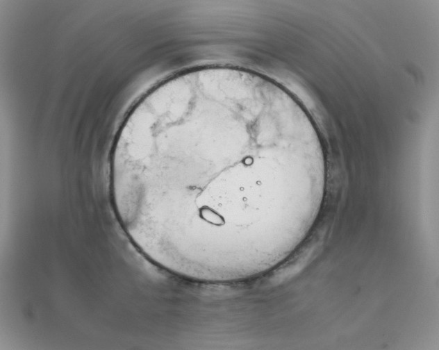 X0000112110807200908041540