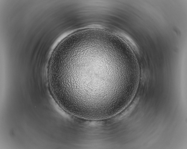 X0000112110808200908041540