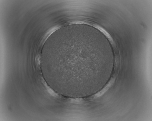 X0000112110809200908041540