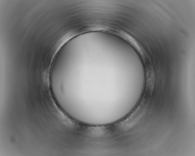 X0000112110810200908041540