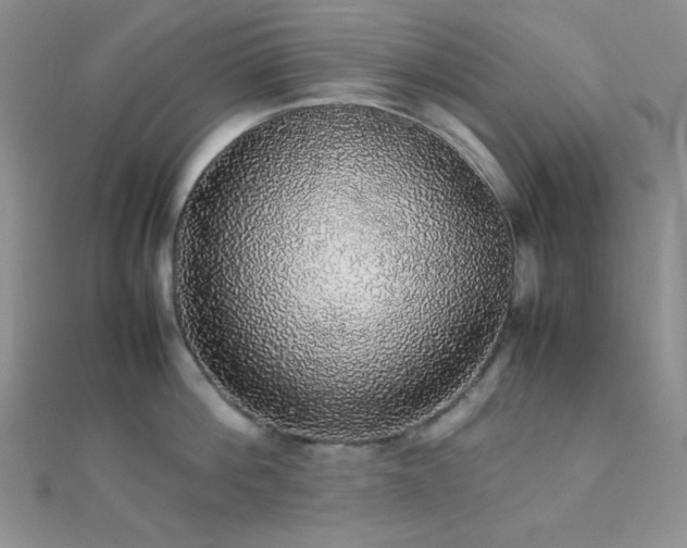 X0000112110812200908041540