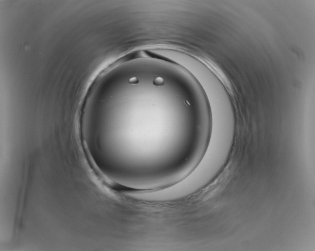 X0000112110813200908041540