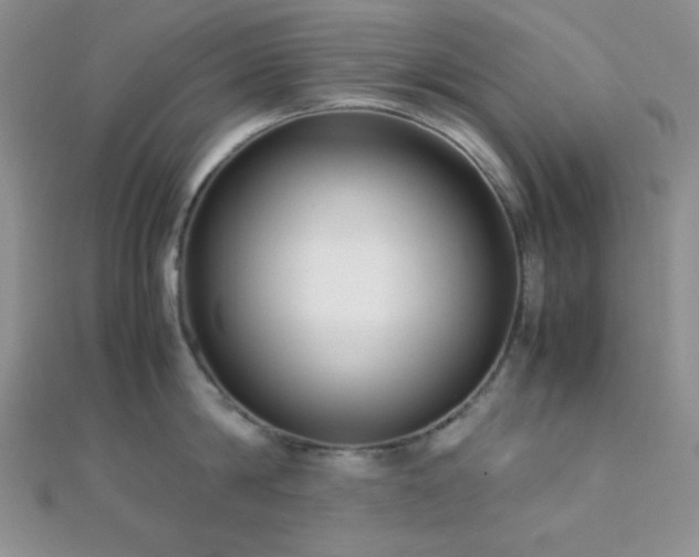 X0000112110814200908041540