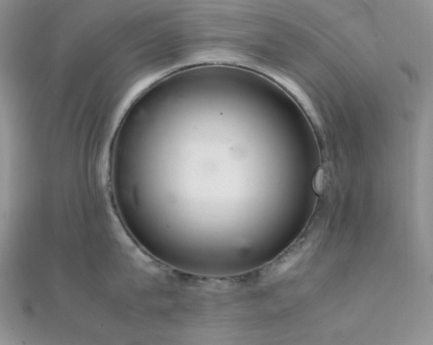 X0000112110815200908041540