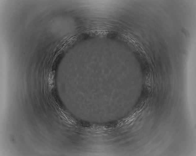 X0000112110818200908041539