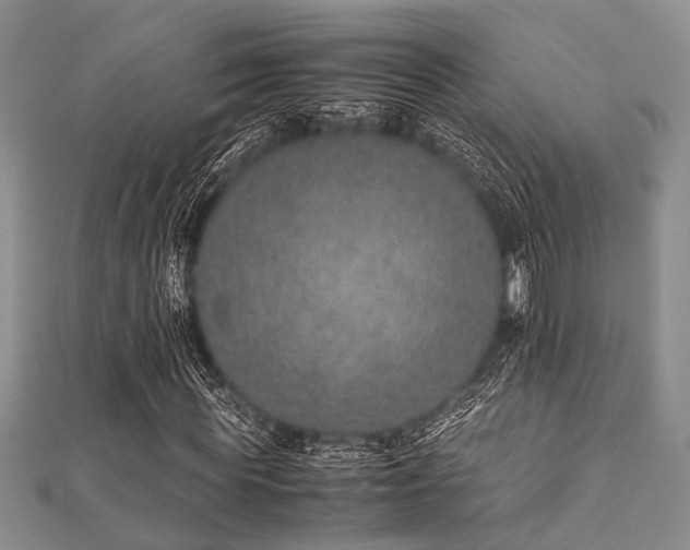 X0000112110819200908041539