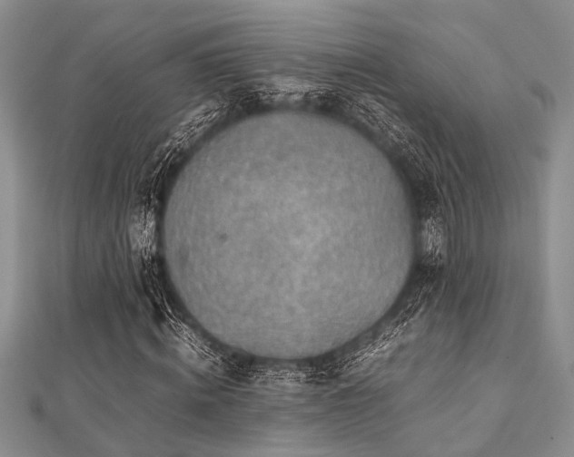 X0000112110820200908041539