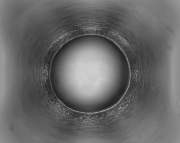 X0000112110821200908041539