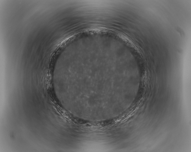 X0000112110822200908041539