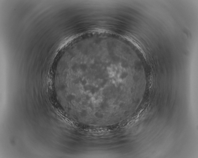 X0000112110823200908041539