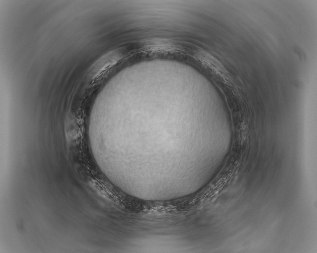 X0000112110824200908041539