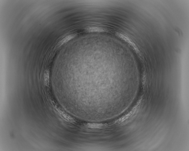 X0000112110825200908041539