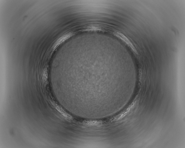 X0000112110826200908041539