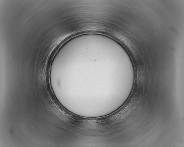 X0000112110828200908041539