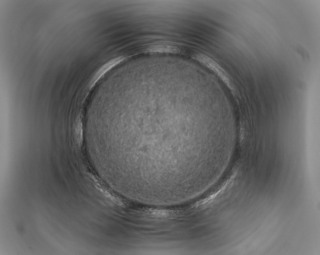 X0000112110829200908041539