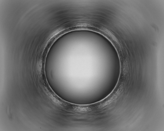 X0000112110831200908041539