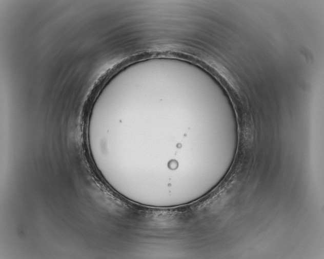 X0000112110832200908041539