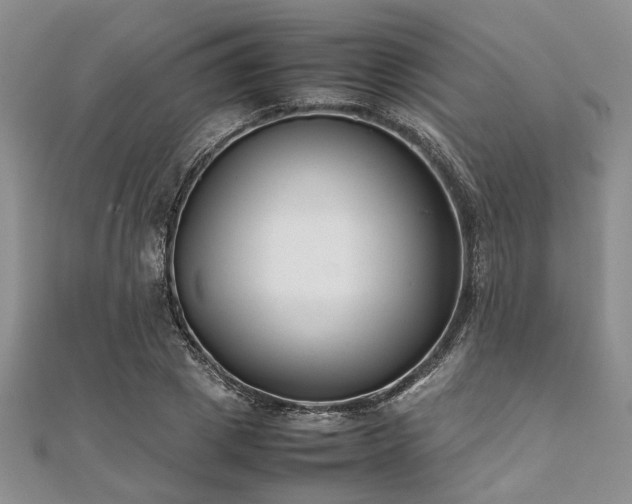 X0000112110833200908041539