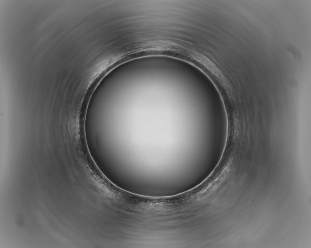 X0000112110834200908041539