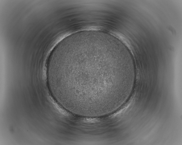 X0000112110835200908041539