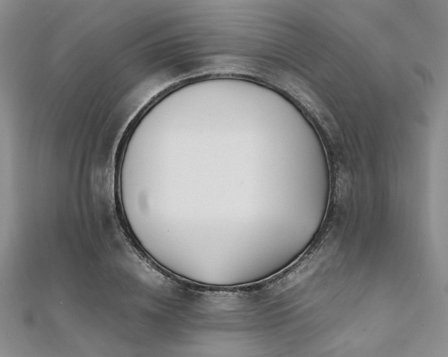 X0000112110836200908041539